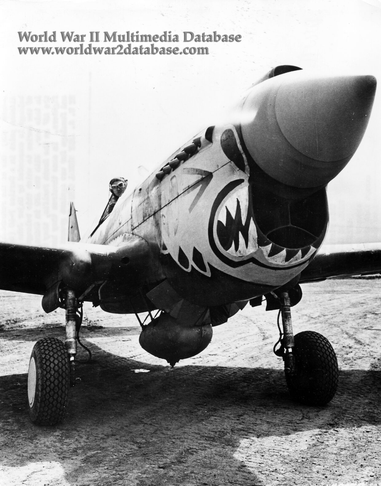P-40E Warhawk ofEleventh Fighter Squadron