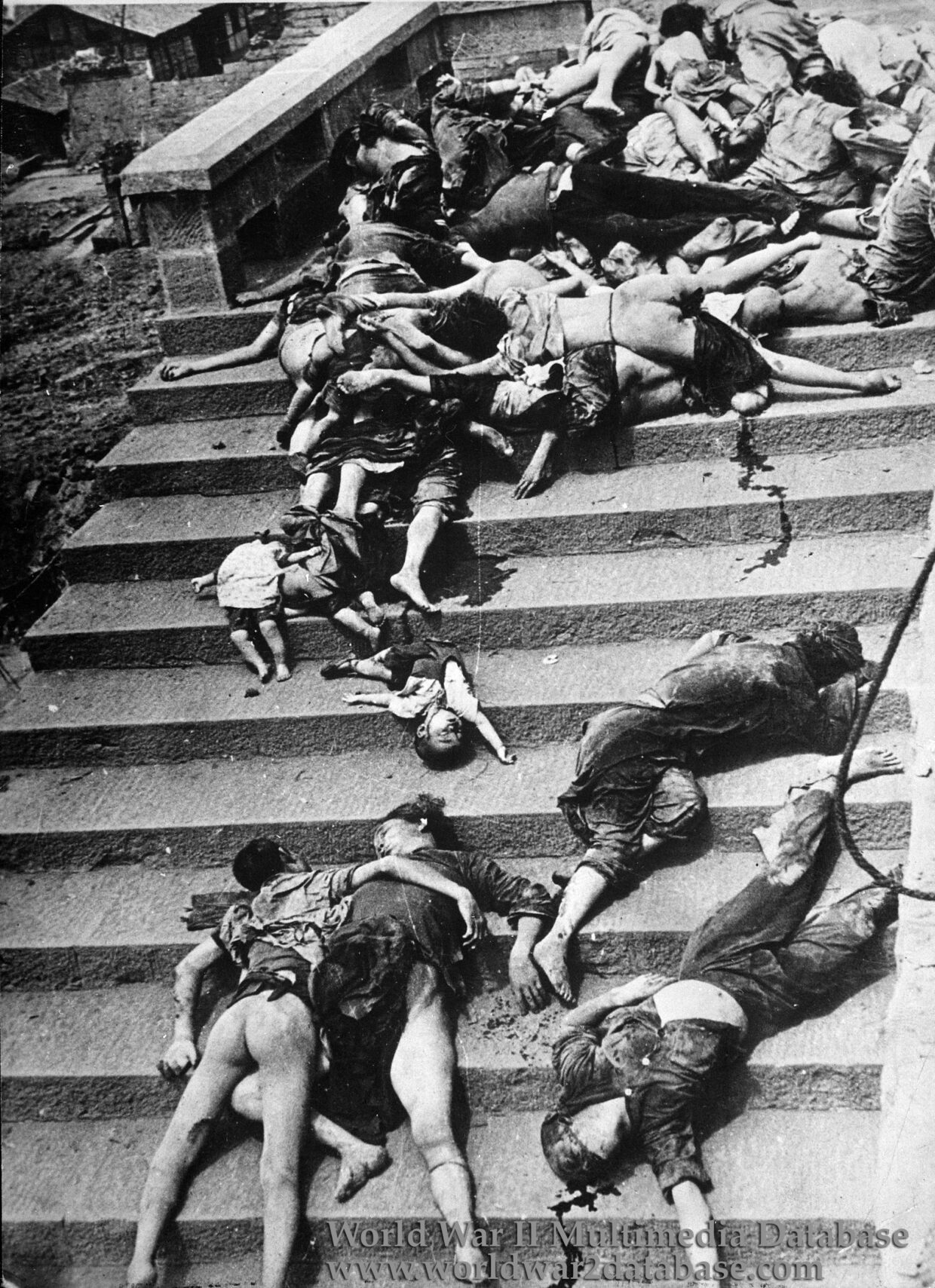 Corpses Outside Chongqing Shelter