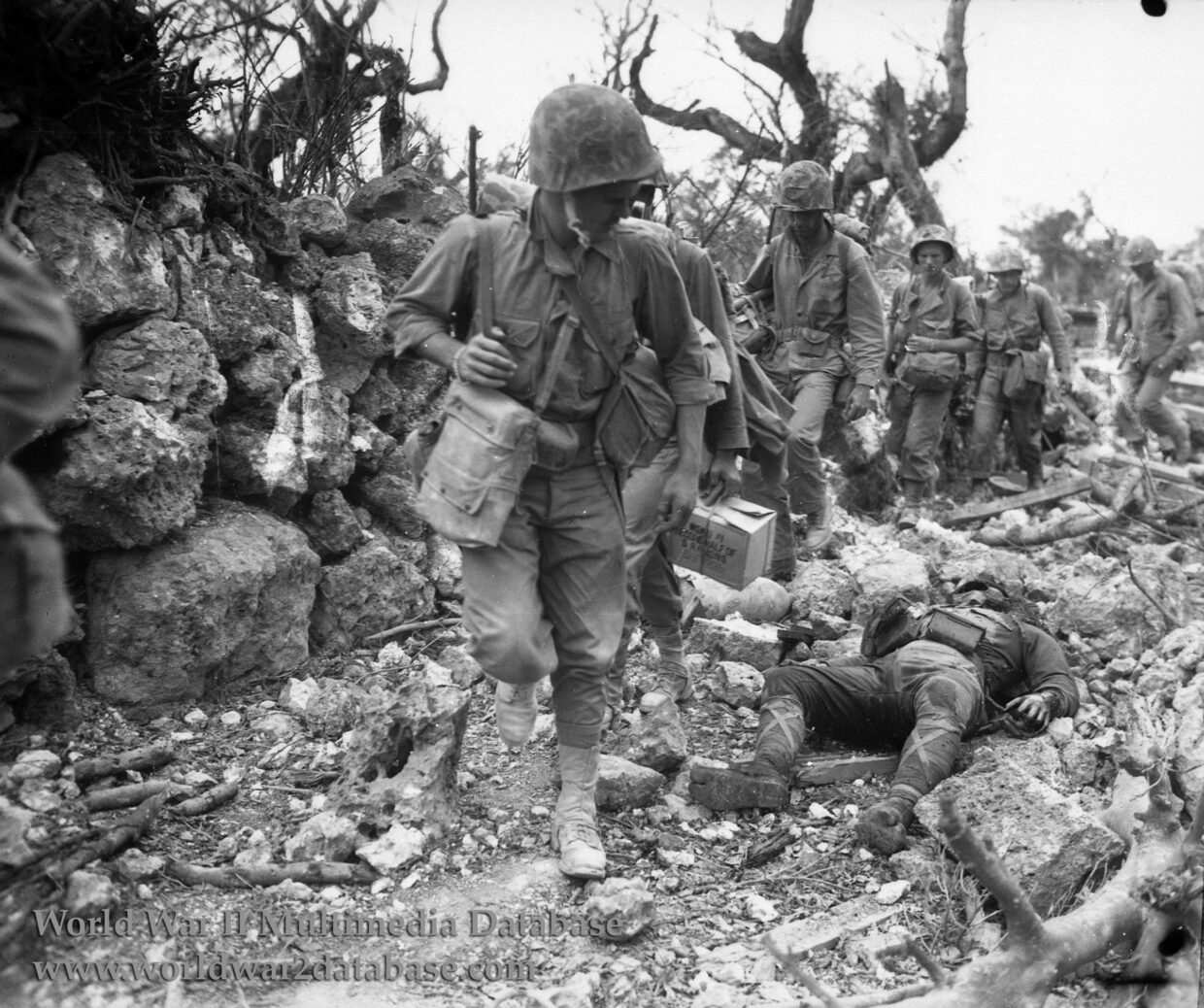 1st Marine Division Passes Dead Japanese Soldier